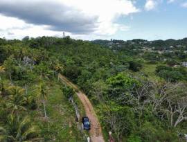 Development Land (Residential) for Sale St. Ann, B