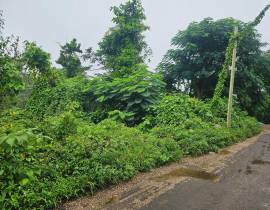 Development Land (Residential) for Sale St. Ann, B