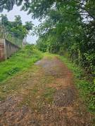 Development Land (Residential) for Sale St. Ann, B