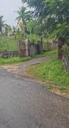 Development Land (Residential) for Sale St. Ann, B