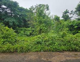 Development Land (Residential) for Sale St. Ann, B