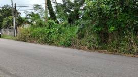 Development Land (Residential) for Sale St. Ann, R