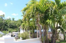 House for Sale Manchester, Mandeville