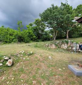 House for Sale Kingston & St. Andrew, Essex Hall P