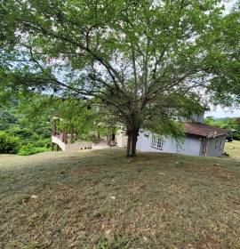 House for Sale Kingston & St. Andrew, Essex Hall P