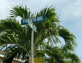 House for Sale St. Ann, Drax Hall Estate