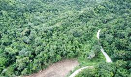 Residential Lot for Sale St. Ann, Runaway Bay