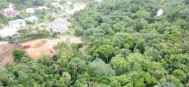 Residential Lot for Sale St. Ann, Runaway Bay