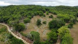 Development Land (Residential) for Sale St. James,