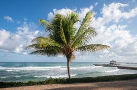 Resort Apartment/Villa for Sale St. James, Montego