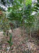 Residential Lot for Sale St. James, Reading