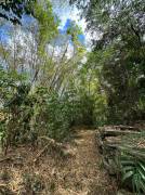 Residential Lot for Sale St. James, Reading