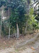 Residential Lot for Sale St. James, Reading