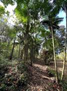 Residential Lot for Sale St. James, Reading