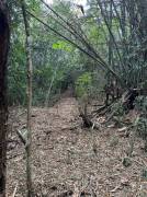 Residential Lot for Sale St. James, Reading