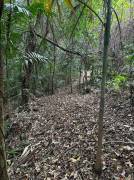 Residential Lot for Sale St. James, Reading