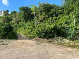 Development Land (Residential) for Sale St. Mary, 