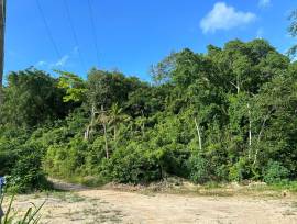 Development Land (Residential) for Sale St. Mary, 