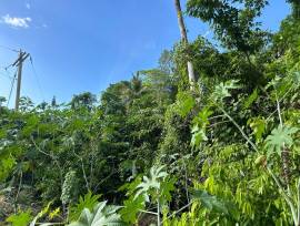 Development Land (Residential) for Sale St. Mary, 