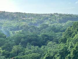 Development Land (Residential) for Sale St. Mary, 