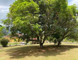 House for Sale Kingston & St. Andrew, Red Hills