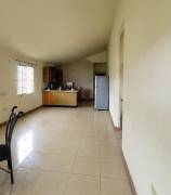 House for Sale Trelawny, Falmouth