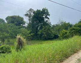 Development Land (Residential) for Sale St. Ann, M