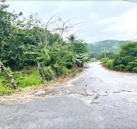 Development Land (Residential) for Sale St. Ann, M