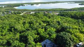 Development Land (Residential) for Sale Trelawny, 