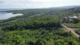Development Land (Residential) for Sale Trelawny, 