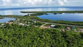 Development Land (Residential) for Sale Trelawny, 