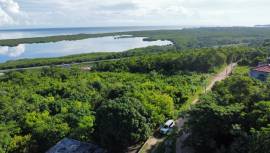 Development Land (Residential) for Sale Trelawny, 