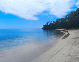 Resort Apartment/Villa for Sale Westmoreland, Negr