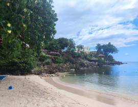 Resort Apartment/Villa for Sale Westmoreland, Negr