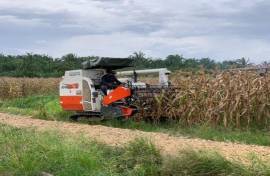 Kubota Combine Harvesters for Sale in Jamaica