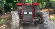290 Massy Ferguson 4x4 Tractor for sale