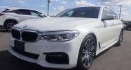 BMW 5-Series 3,0L 2019 for sale