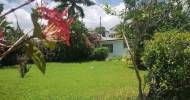 3 Bedrooms 2 Bathrooms, House for Sale in Kingston 6