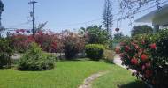 3 Bedrooms 2 Bathrooms, House for Sale in Kingston 6