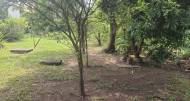 3 Bedrooms 3 Bathrooms, House for Sale in Kingston 6