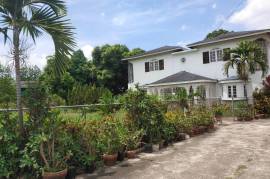 8 Bedrooms 7 Bathrooms, House for Sale in Kingston 19