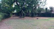 4 Bedrooms 3 Bathrooms, House for Sale in Kingston 6