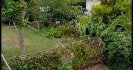 4 Bedrooms 3 Bathrooms, House for Sale in Kingston 19