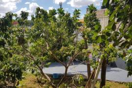 5 Bedrooms 4 Bathrooms, House for Sale in Mandeville