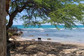 4 Bedrooms 3 Bathrooms, House for Sale in Treasure Beach