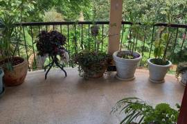 5 Bedrooms 4 Bathrooms, House for Sale in Mandeville