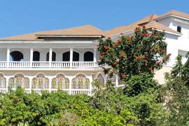 7 Bedrooms 7 Bathrooms, House for Sale in Negril