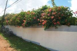 6 Bedrooms 5 Bathrooms, House for Sale in Ocho Rios