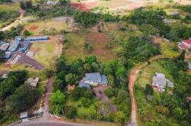 4 Bedrooms 4 Bathrooms, House for Sale in Mandeville