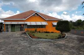 5 Bedrooms 3 Bathrooms, House for Sale in Mandeville